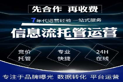 SEM优化策略案例分析
